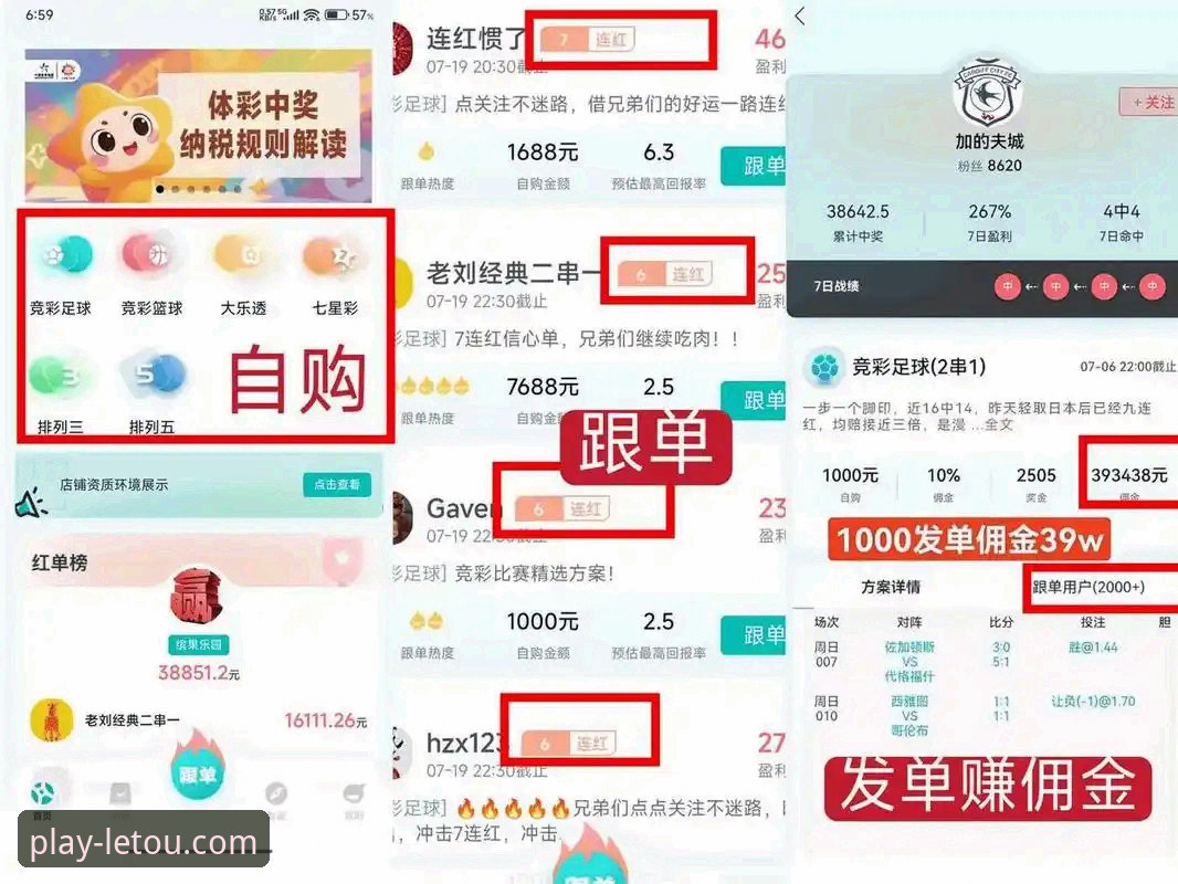 资深用户亲测：乐投体育平台APP下载与使用全攻略